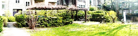 HausRueckseiteGartenmini
