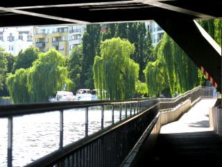 IMG_1541