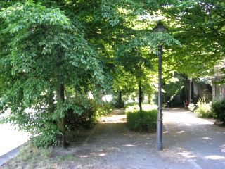 IMG_1563