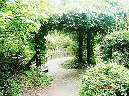 Laube2mittelmkks