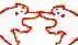 baerentransp