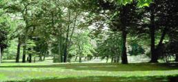 tiergarten2
