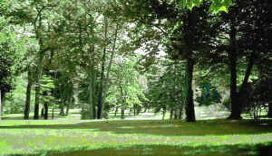 tiergarten2.jpg